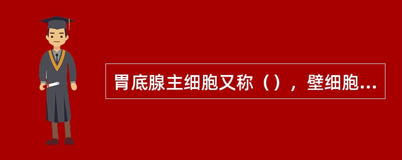 胃底腺主细胞又称（），壁细胞又称（）。