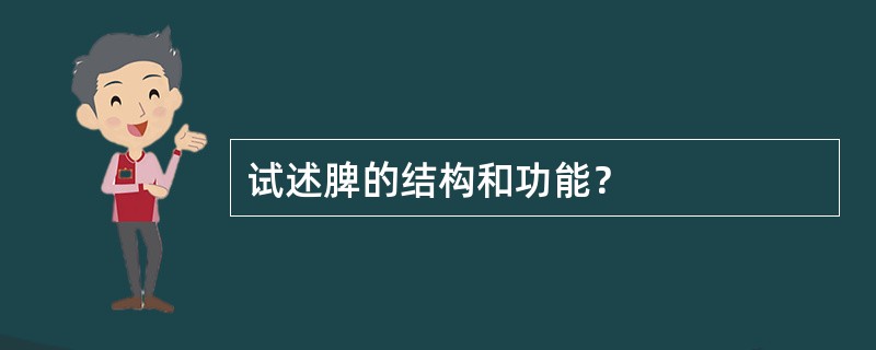 试述脾的结构和功能？