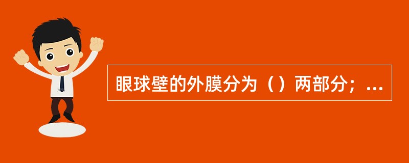 眼球壁的外膜分为（）两部分；中膜分为（）三部分；内膜分为视网膜盲部、视网膜视部两