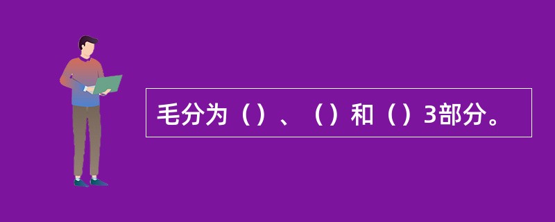 毛分为（）、（）和（）3部分。