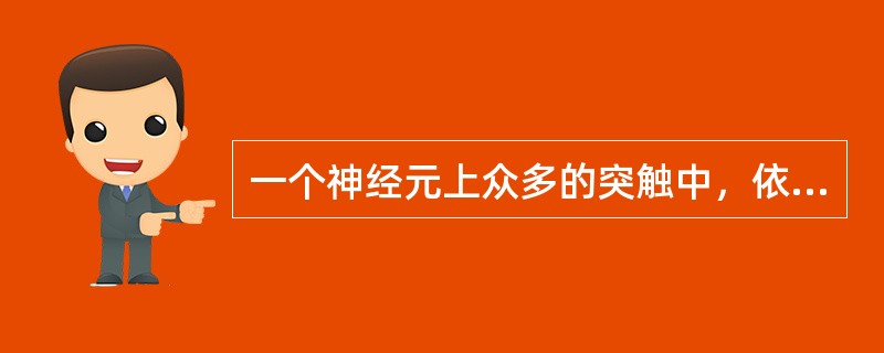 一个神经元上众多的突触中，依其功能有些是（），有些是（）。