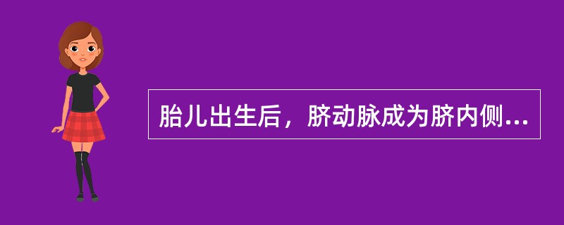 胎儿出生后，脐动脉成为脐内侧韧带，脐静脉成为肝圆韧带。