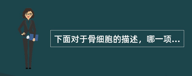 下面对于骨细胞的描述，哪一项是错误的（）。