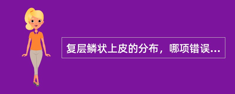 复层鳞状上皮的分布，哪项错误（）