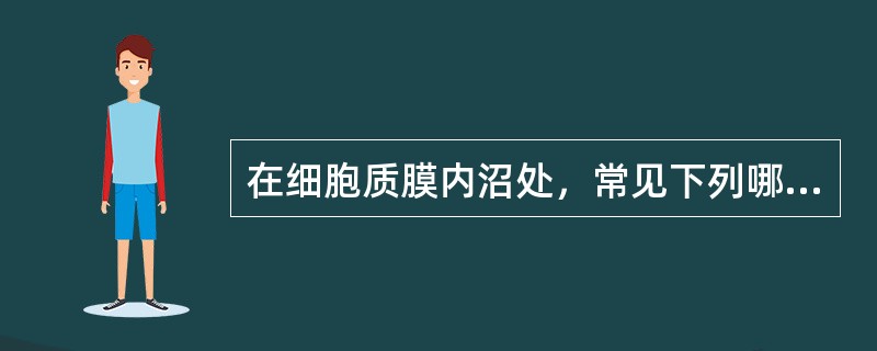 在细胞质膜内沼处，常见下列哪种结构（）