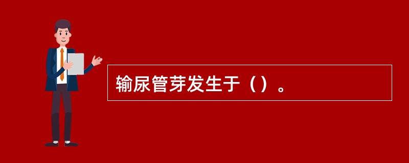 输尿管芽发生于（）。