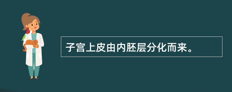 子宫上皮由内胚层分化而来。