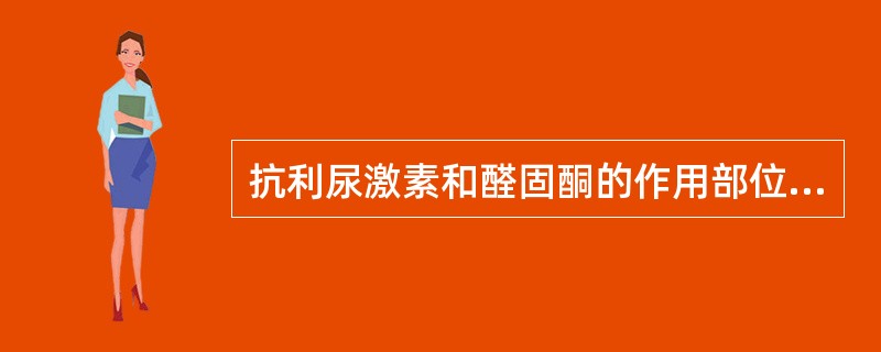 抗利尿激素和醛固酮的作用部位是（）。