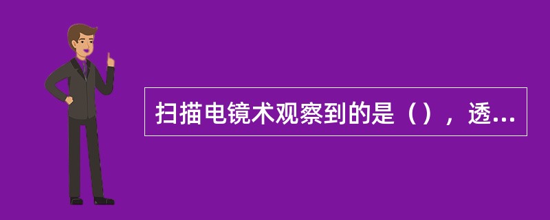 扫描电镜术观察到的是（），透射电镜技术观察到的是（）。