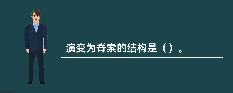 演变为脊索的结构是（）。