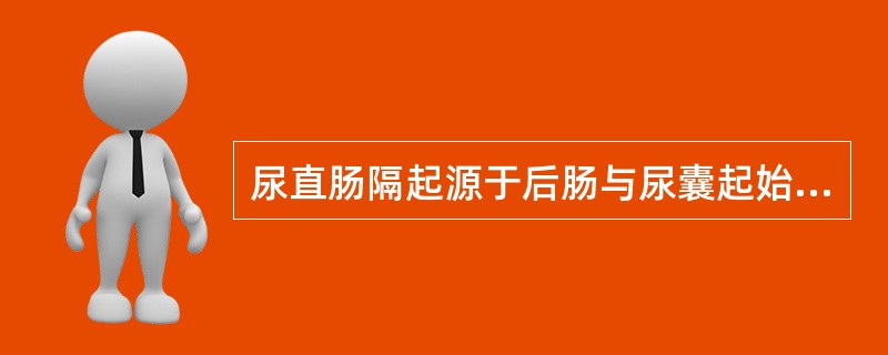 尿直肠隔起源于后肠与尿囊起始部之间的间充质。