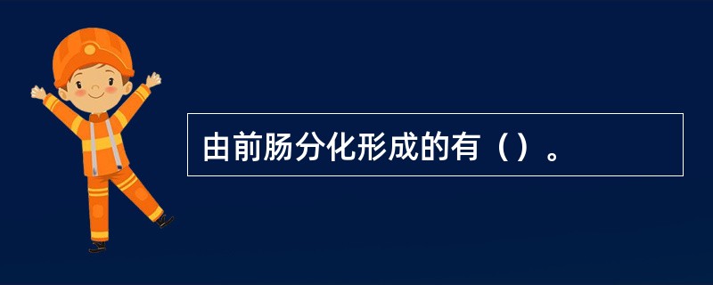 由前肠分化形成的有（）。