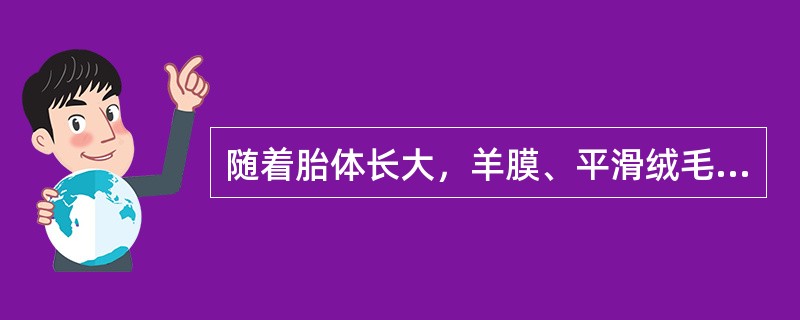 随着胎体长大，羊膜、平滑绒毛膜、包蜕膜与壁蜕膜相贴，子宫腔消失。