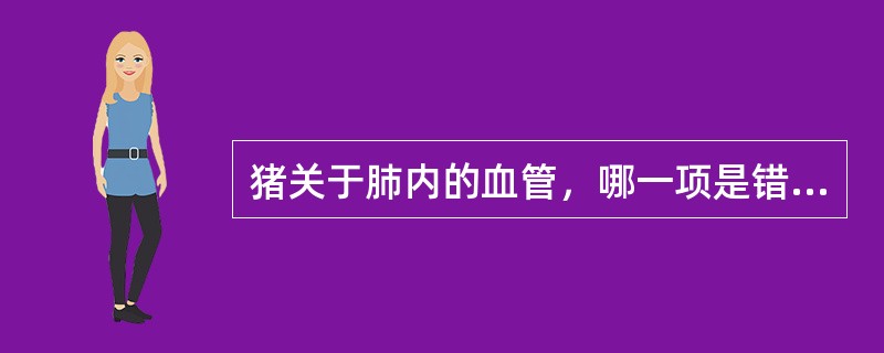 猪关于肺内的血管，哪一项是错误的？（）