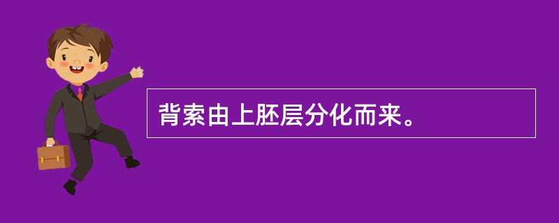 背索由上胚层分化而来。