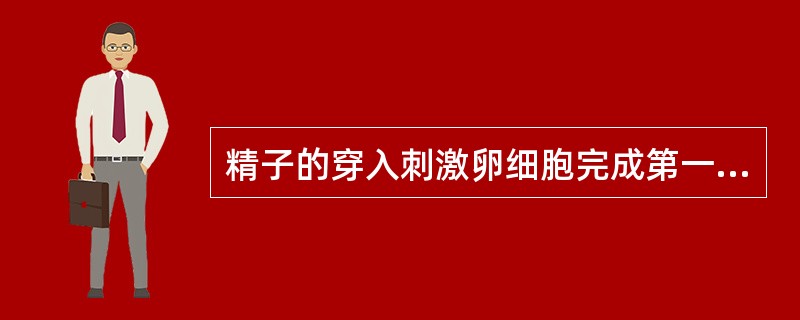 精子的穿入刺激卵细胞完成第一次减数分裂。