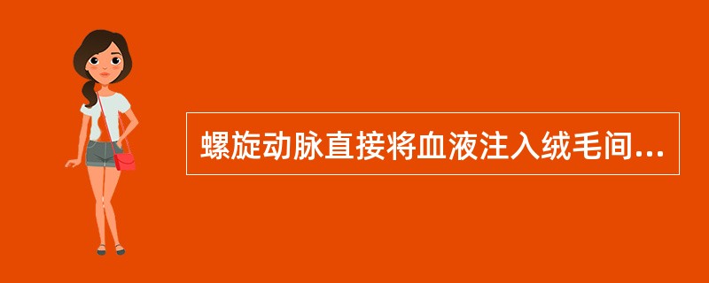 螺旋动脉直接将血液注入绒毛间隙。