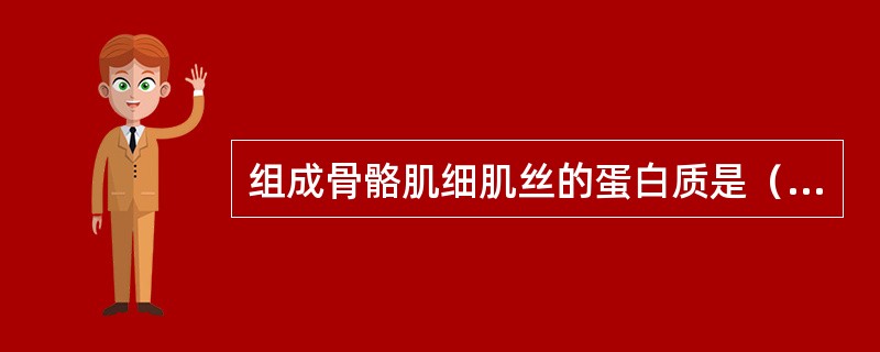 组成骨骼肌细肌丝的蛋白质是（）。