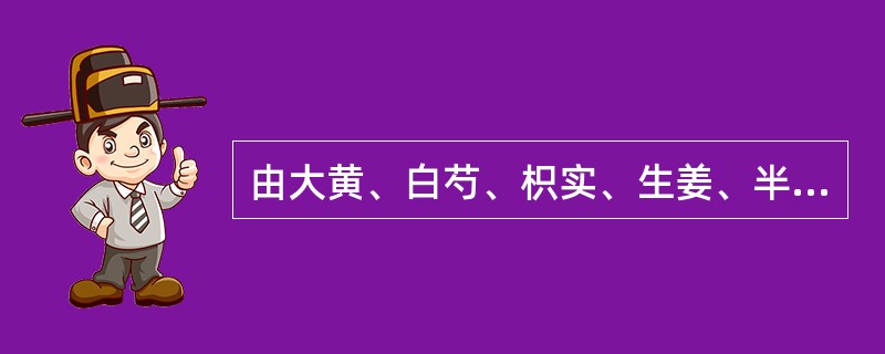 由大黄、白芍、枳实、生姜、半夏、柴胡、大枣、黄芩组成的方剂是（）