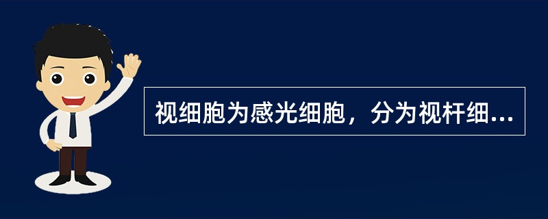 视细胞为感光细胞，分为视杆细胞和视锥细胞两种。