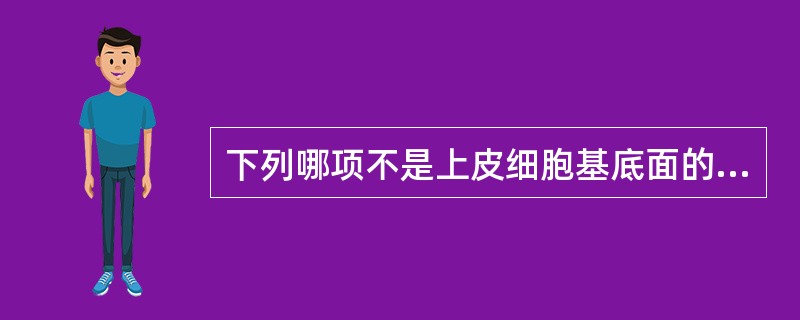 下列哪项不是上皮细胞基底面的结构（）。