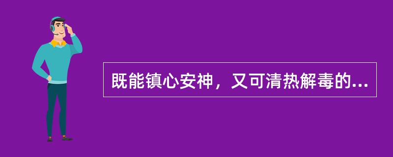 既能镇心安神，又可清热解毒的药物是（）