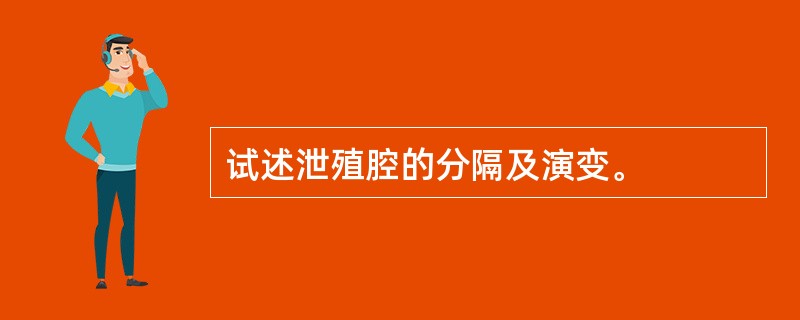 试述泄殖腔的分隔及演变。