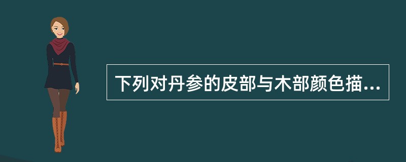 下列对丹参的皮部与木部颜色描述正确的是（）。