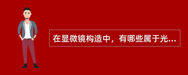 在显微镜构造中，有哪些属于光学系统（）
