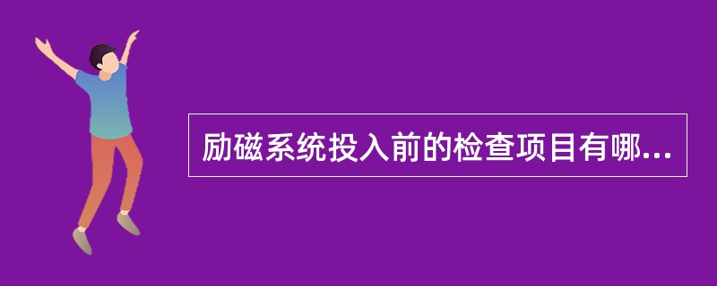 励磁系统投入前的检查项目有哪些？