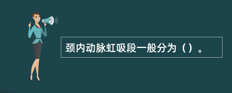 颈内动脉虹吸段一般分为（）。