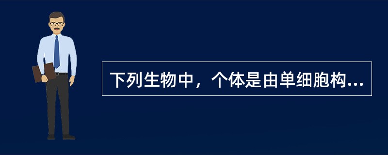 下列生物中，个体是由单细胞构成的是（）。