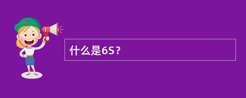 什么是6S？