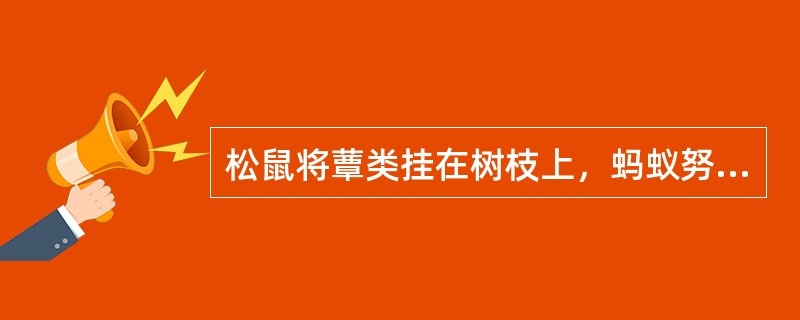 松鼠将蕈类挂在树枝上，蚂蚁努力向蚁巢里搬运麦粒，豹将搏杀到的羚羊肉挂在高大的树枝