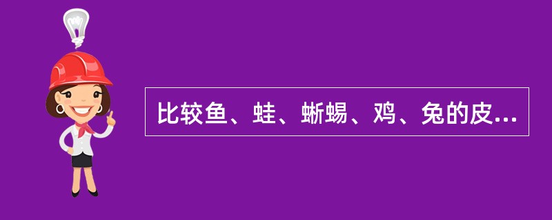 比较鱼、蛙、蜥蜴、鸡、兔的皮肤及其衍生物，并试述脊椎动物由水生到陆生皮肤系统进化