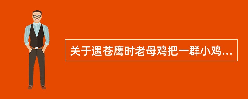 关于遇苍鹰时老母鸡把一群小鸡护在翅膀下，属于（）行为。