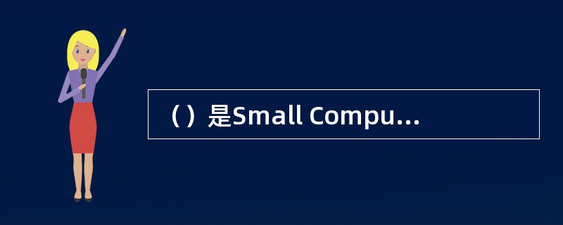 （）是Small Computer System Interface（小型计算机