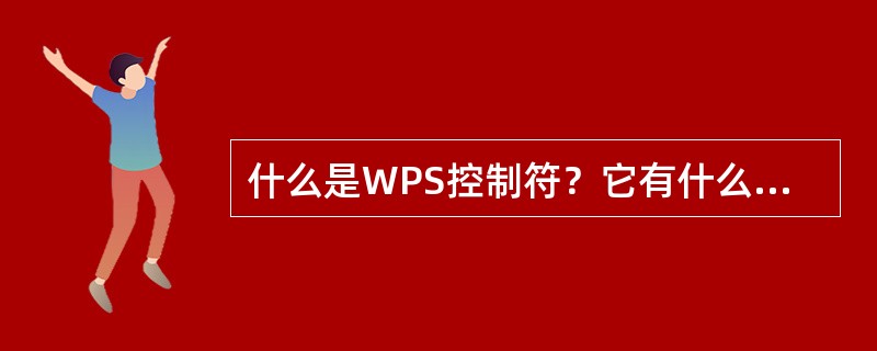 什么是WPS控制符？它有什么特点？