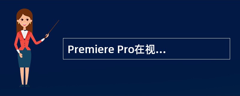 Premiere Pro在视频滤镜（Video Effects）下的Video组