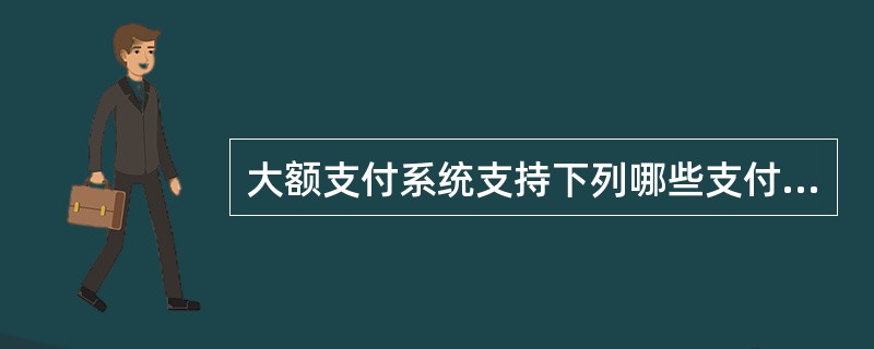 大额支付系统支持下列哪些支付业务（）。