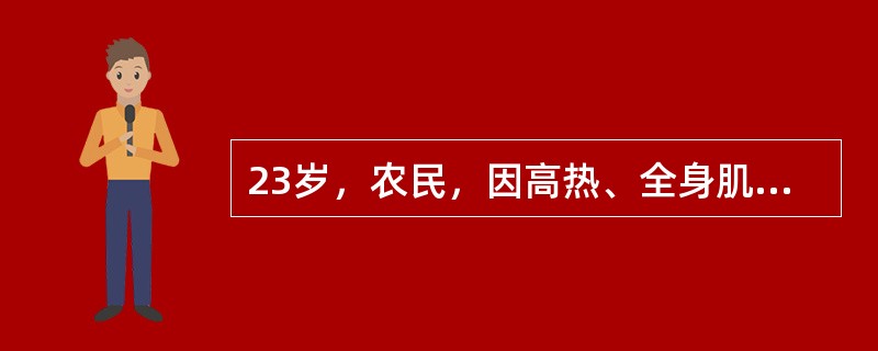 23岁，农民，因高热、全身肌肉酸痛7天，黄疸2天入院。查体：结膜充血，巩膜轻度黄