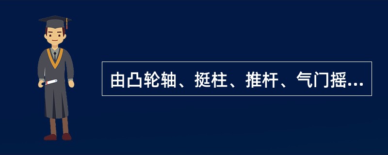 由凸轮轴、挺柱、推杆、气门摇臂、气门组件组成（）。