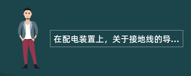 在配电装置上，关于接地线的导体端和接地端有哪些具体要求？