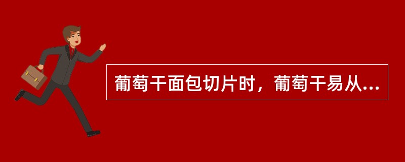 葡萄干面包切片时，葡萄干易从面包内掉落的原因是（）