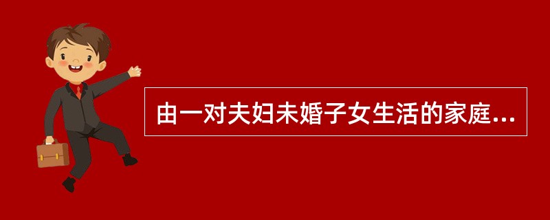 由一对夫妇未婚子女生活的家庭是（）。