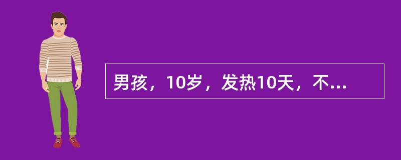 男孩，10岁，发热10天，不咳，纳差，便秘。体检：T39.6℃，神萎，咽微红，浅