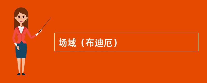 场域（布迪厄）