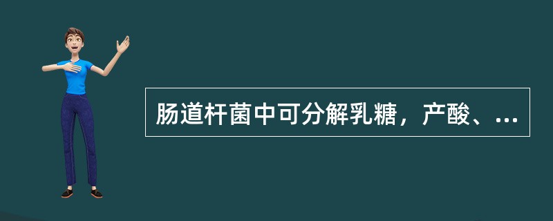 肠道杆菌中可分解乳糖，产酸、产气的是（）