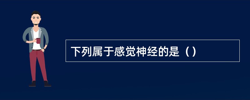 下列属于感觉神经的是（）