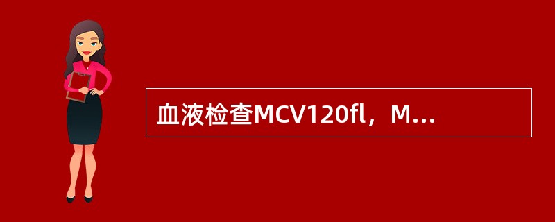 血液检查MCV120fl，MCH45pg，MCHC375g/L，有助于判断（）.